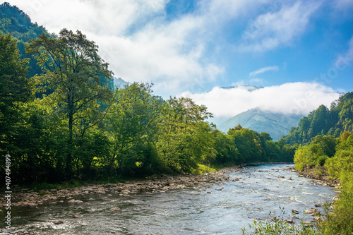 mountain river landscape in summer. wonderful nature scenery on foggy morning. clouds rolling over the distant hill. trees along the stream in the valley. sunny weather with blue sky