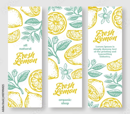 Fresh lemon vertical banner collection. Lemons hand drawn in ink illustration. Vector vintage illustration.