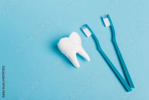 Top view of tooth model and toothbrushes on blue background