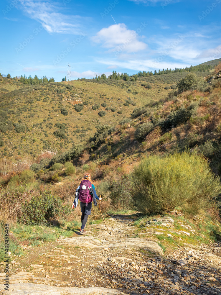 Pilgrim Girl with Hiking Gear Walking outside Molinaseca on Way of St James Camino de Santiago  Pilgrimage Trail in Spain