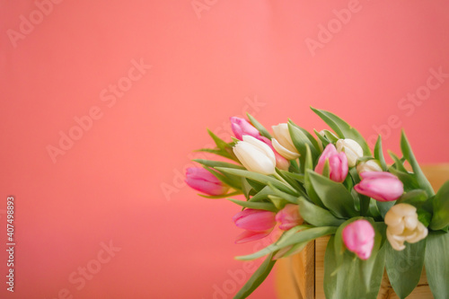 Tulips on a pink background for a Womens Day  Mother Day  8 march or Valentines day. The concept of holidays and good morning wishes.