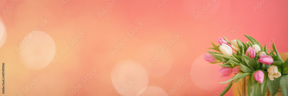 Banner for a Women s day, 8 march or Valentines day. Tulips on a pink background. The concept of holidays and good morning wishes. Banner for a Women s day, 8 march or Valentines day. Tulips on a pink background. The concept of holidays and good morning wishes.