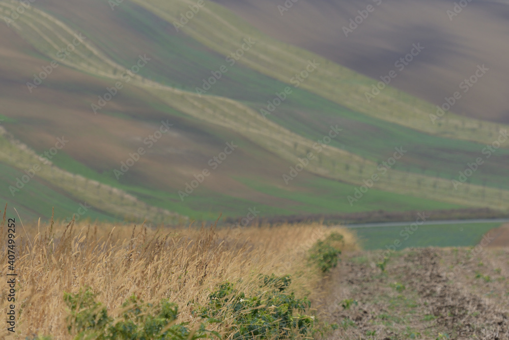 Obraz premium Autumn fields in Kyjov region of Moravia