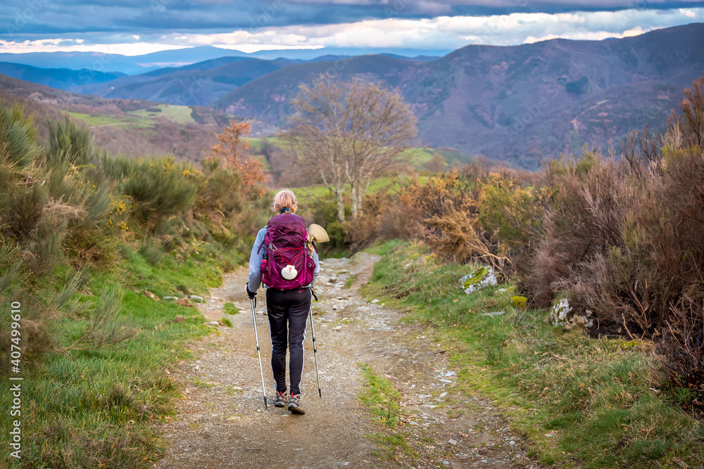 Pilgrim Woman with Hiking Gear Walking up a Hill outside O Cebreiro Galicia Spain along the Way of St James Camino de Santiago Pilgrimage Trail