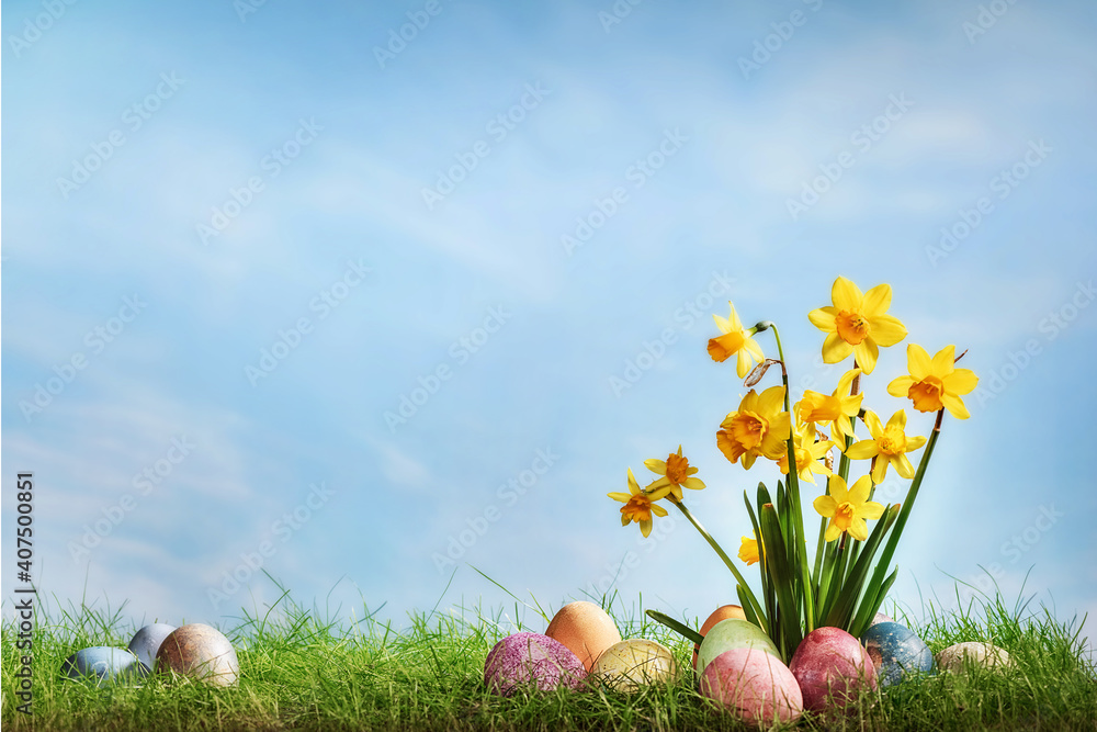 Fototapeta premium Narcissus flower with easter eggs in spring grass with sky