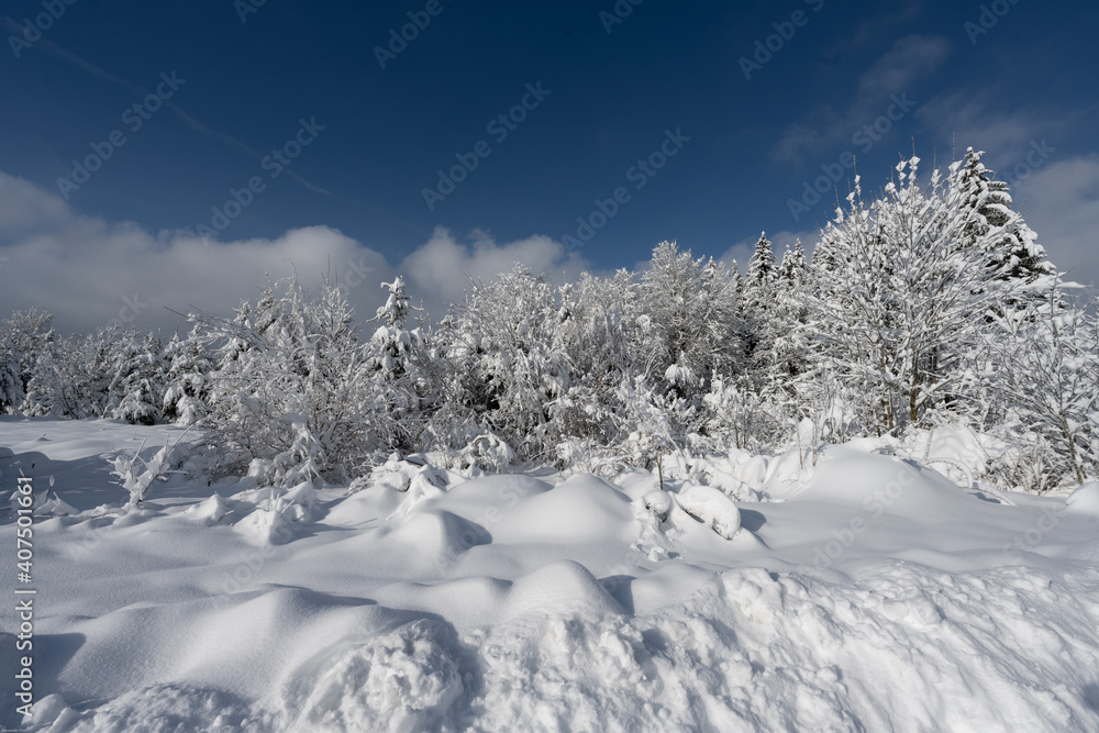 Fototapeta premium Schneelandschaft
