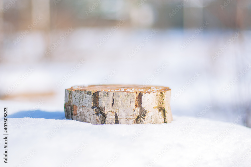 pedestal from a cut of a tree trunk in the snow in the outdoor
