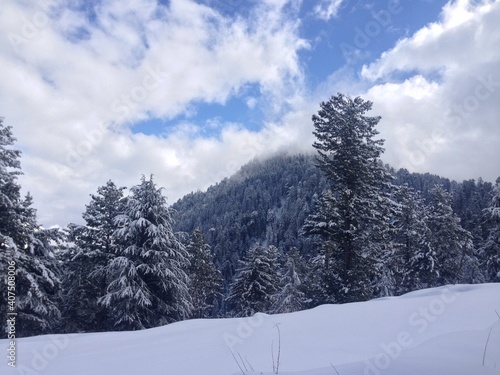 A snowy landscape 