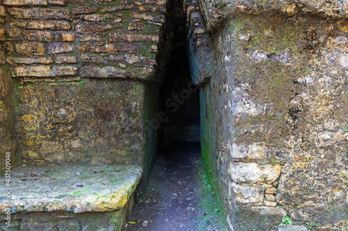 Entrance of the labyrinth maze in the maya ruin of Yaxchilan, Chiapas, Mexico.
