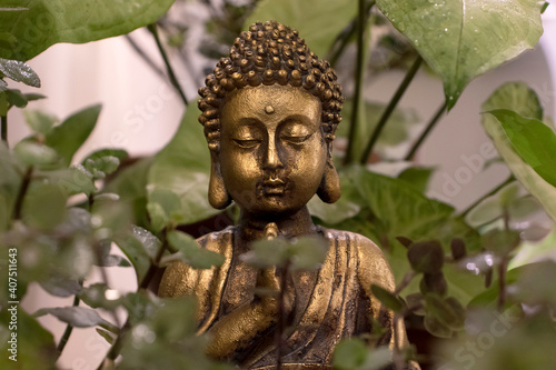 Buddha Head Between Plants