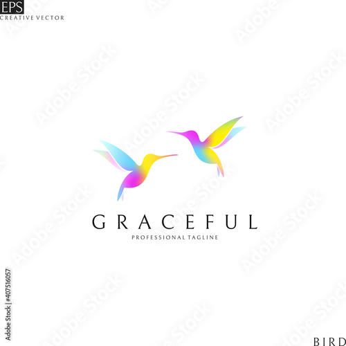 Colorful birds. Logo template