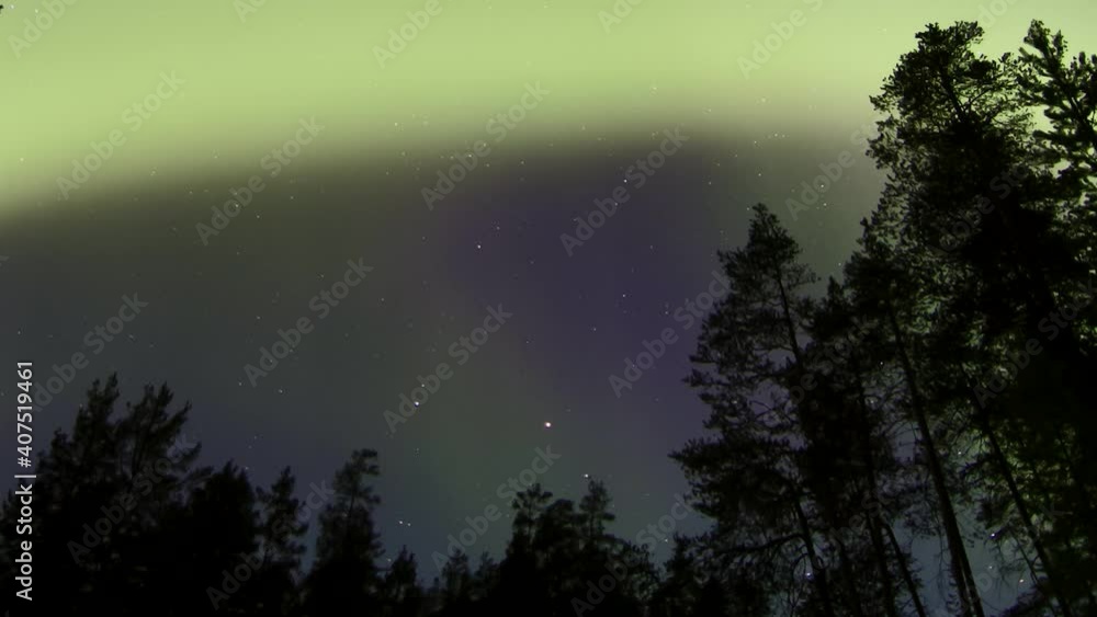 STATIC TIMELAPSE of the Northern Lights dancing over a forest clearing STATIC TIMELAPSE of the Northern Lights dancing over a forest clearing