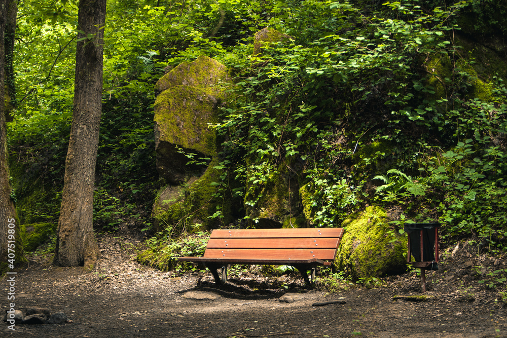 Banc au milieu de la forêt Banc au milieu de la forêt