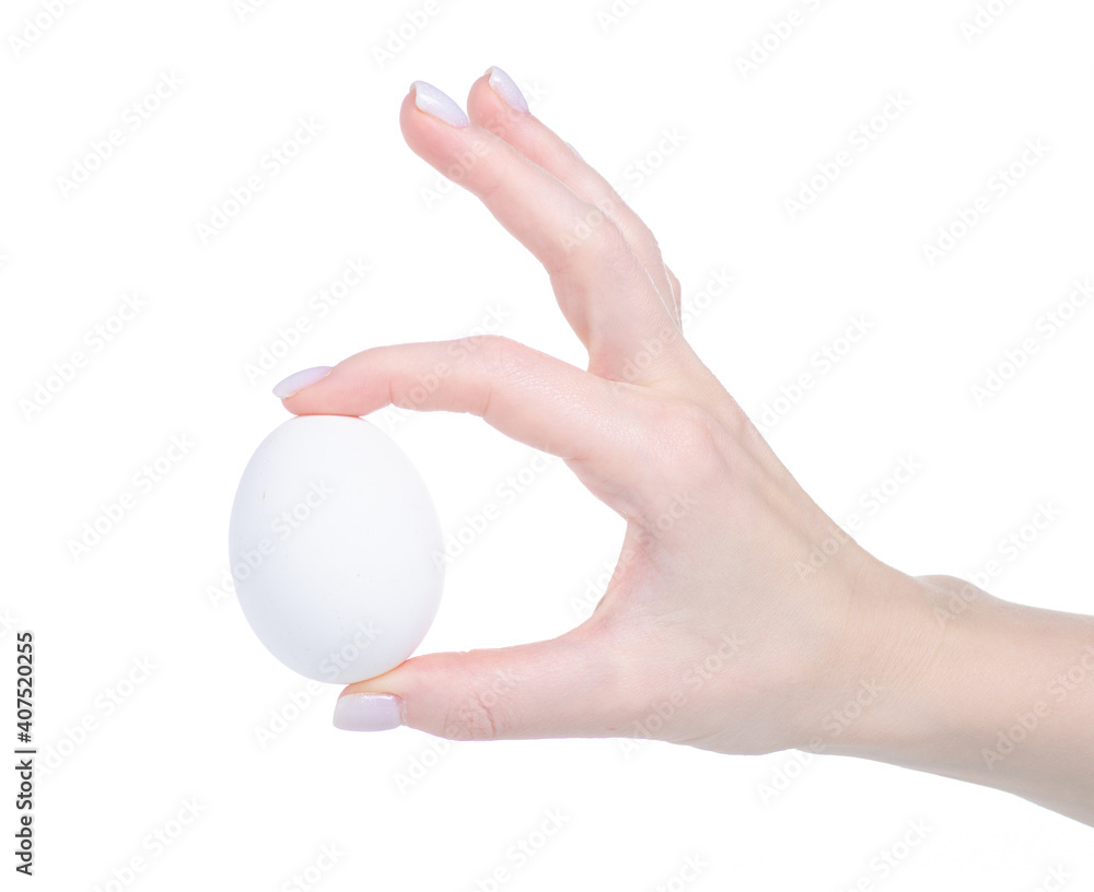 Egg in hand on white background isolation Egg in hand on white background isolation