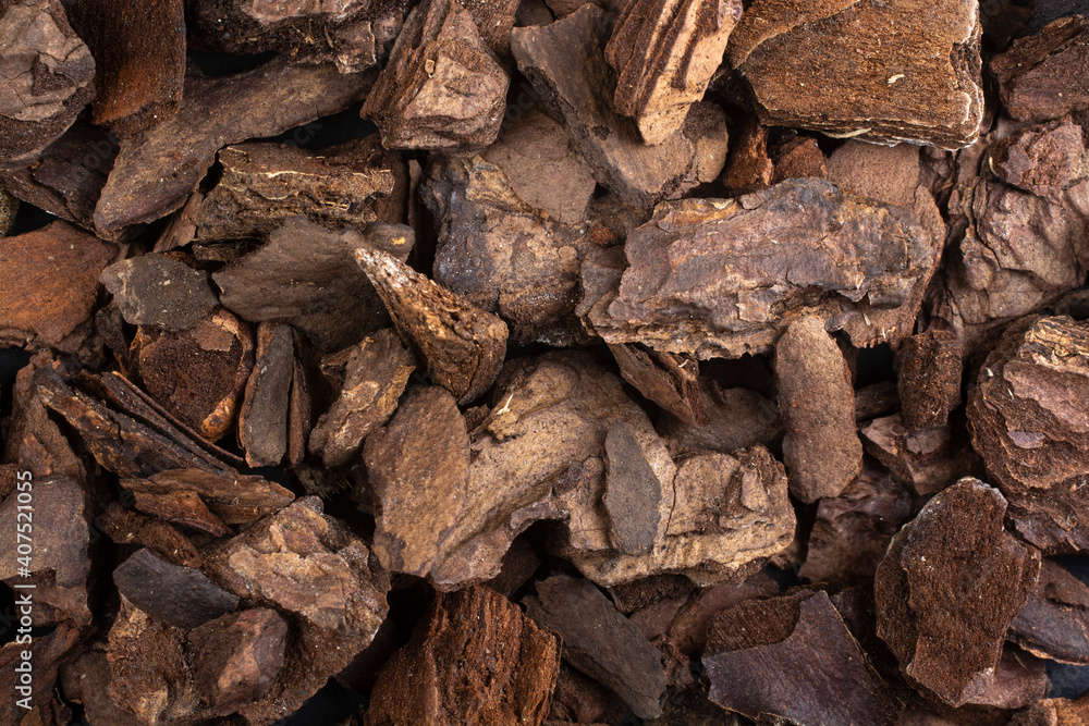 Dry bark of trees close up.