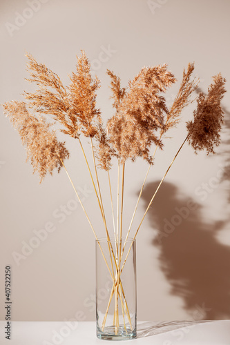 Obraz na płótnie Dry reeds in glass transparent vase on white table with shadow on light beige wall. Modern interior design concept. Minimal style. w salonie