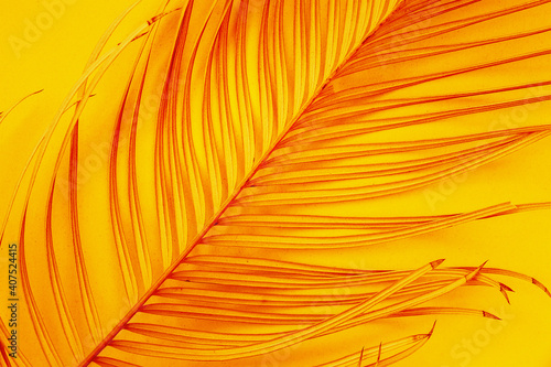 Bright yellow background with palm branch close up, tropical heat concept