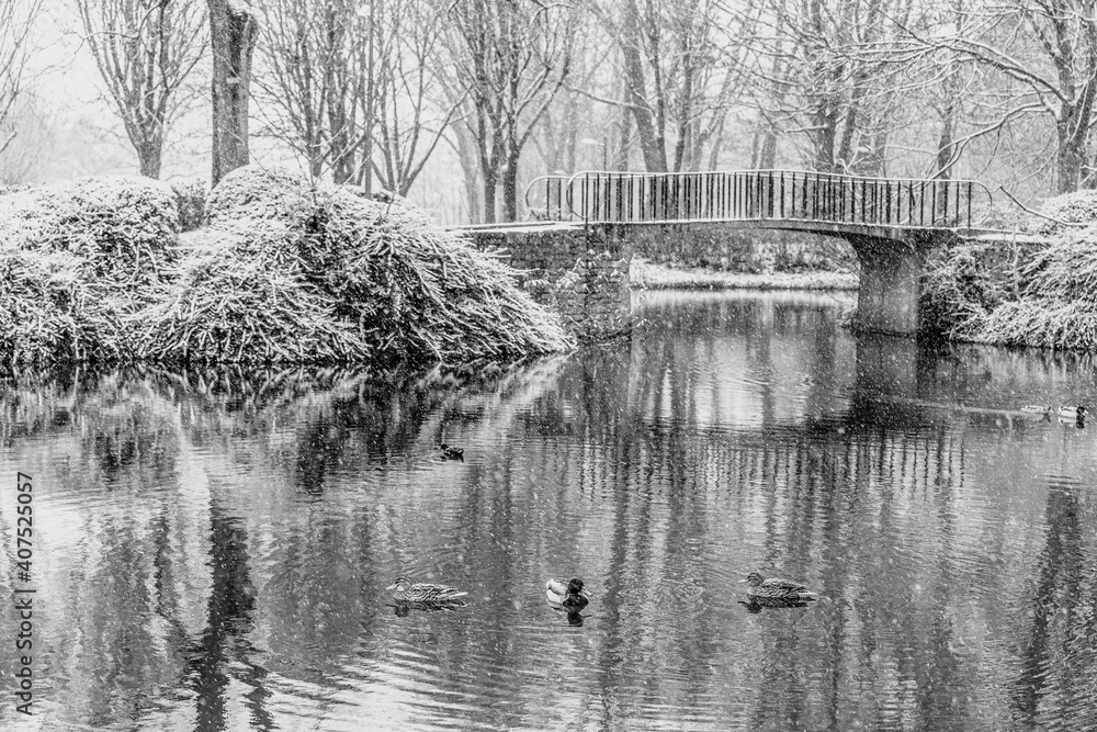 A winter lake with ducks and a bridge in snowing