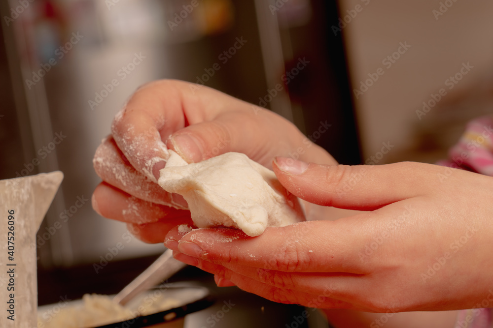 Obraz premium Close up process of making dumplings with potatoes and cheese stuffing. Food concept.