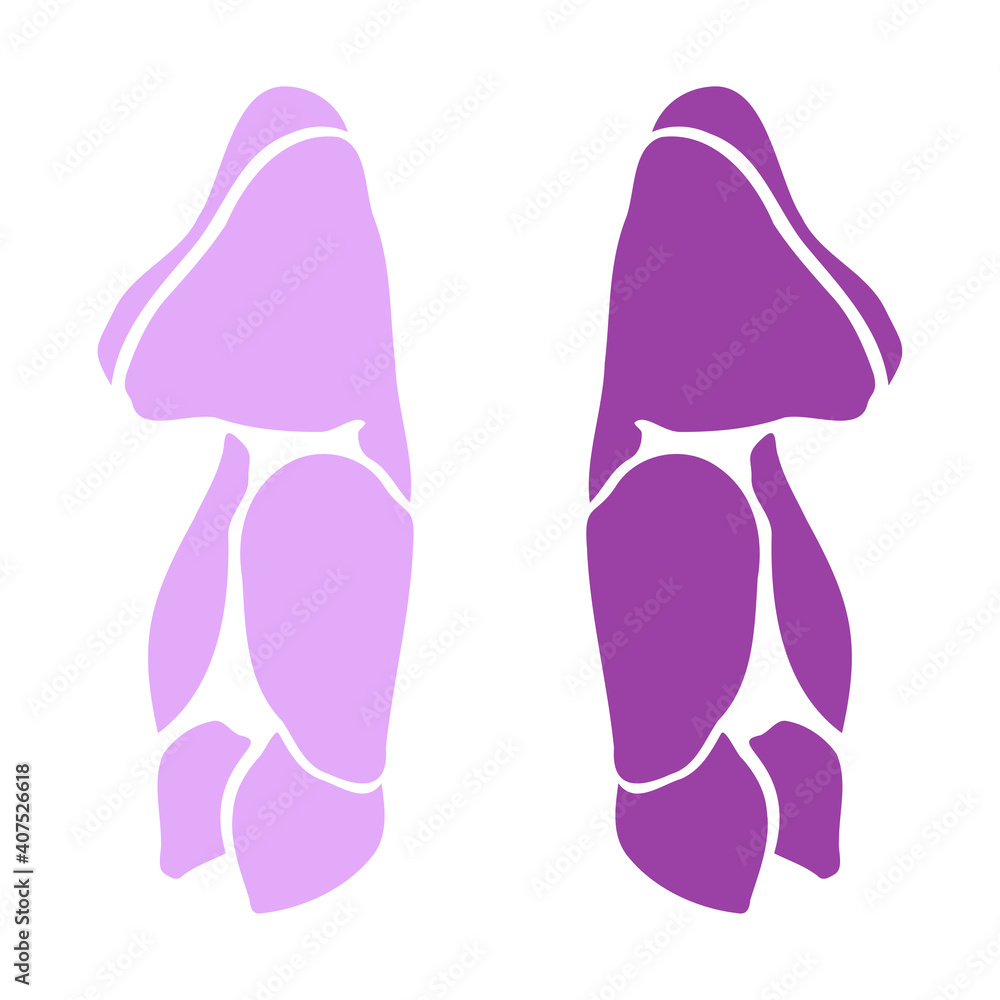 The imprint of flower of Aconite , logo icon in black and purple colors The imprint of flower of Aconite , logo icon in black and purple colors