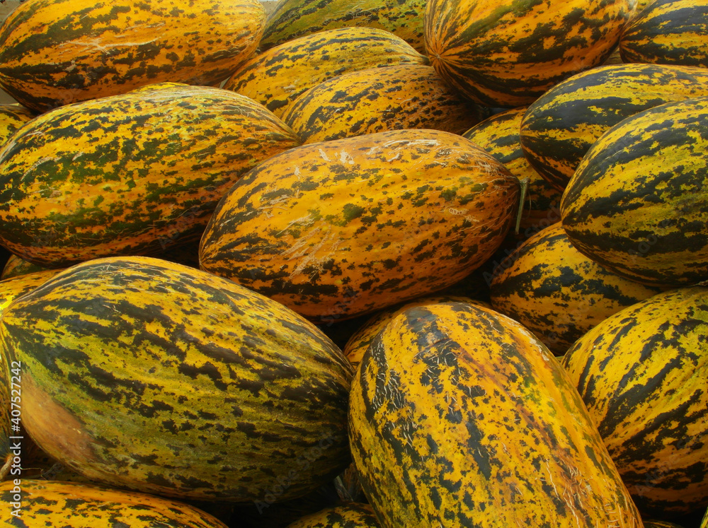Green Yellow Pile of Healthy  Melons Fruit