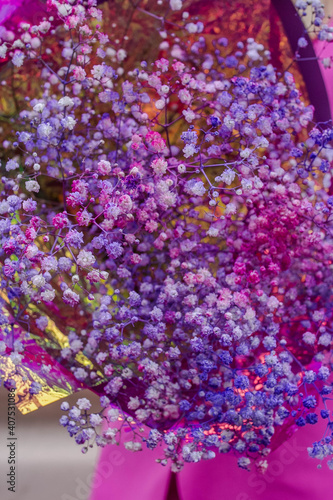 Big pink and purple bouquet of gypsophila  florist shop photo  flower lay out  violet background