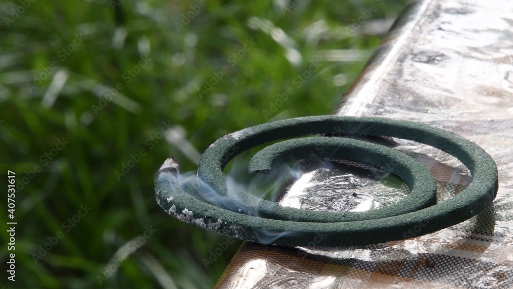 Mosquito coil smoldering with gray smoke from ash on green edge of spiral made from pyrethrum powder. Mosquito repellent incense Mosquito coil smoldering with gray smoke from ash on green edge of spiral made from pyrethrum powder. Mosquito repellent incense