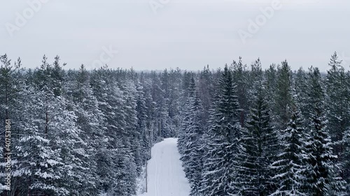 Winter forest road. Flying over the trees.