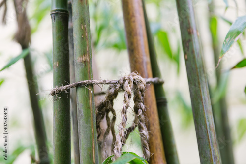 Bamboo tree trunks tied together with knotted weathered rope. Close up detail with shallow depth of field.