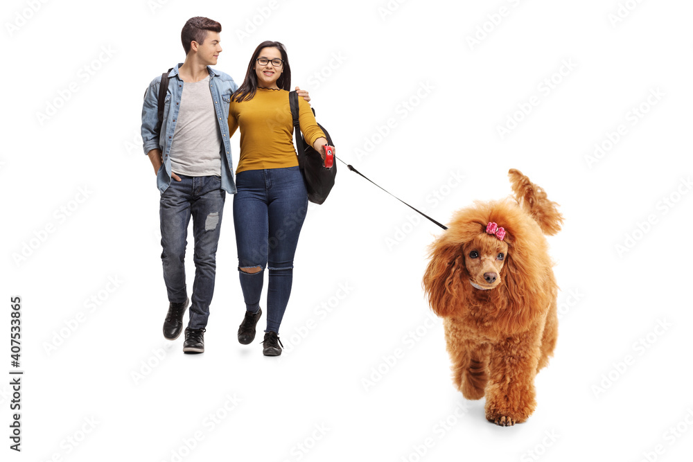 Full length portrait of teenage couple walking a red poodle dog Full length portrait of teenage couple walking a red poodle dog