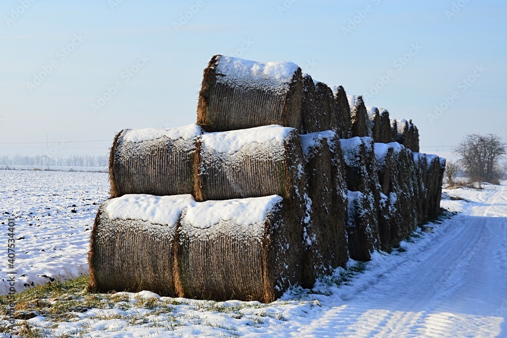 Round hay bales stacked in three levels, covered with snow. Snowy field on the left,, snow covered field road on the right. Morning sunshine with blue skies and some scattered clouds. Round hay bales stacked in three levels, covered with snow. Snowy field on the left,, snow covered field road on the right. Morning sunshine with blue skies and some scattered clouds.