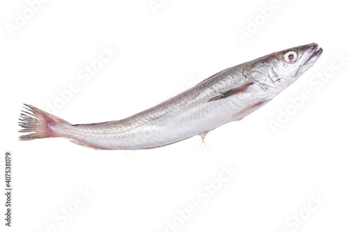 Tableau sur toile Fresh fish, hake