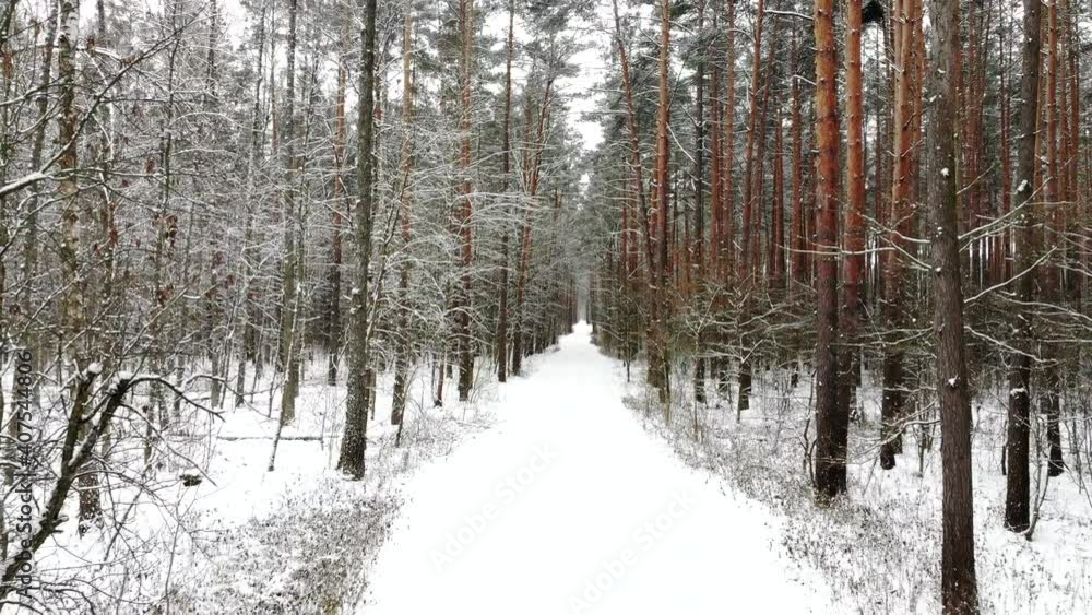 Beautiful winter forest top view. Drone video, winter forest. High quality 4k footage Beautiful winter forest top view. Drone video, winter forest. High quality 4k footage