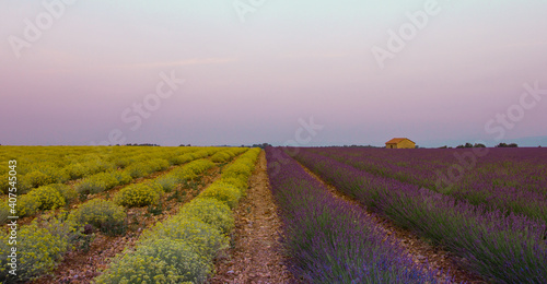 un confine di colori