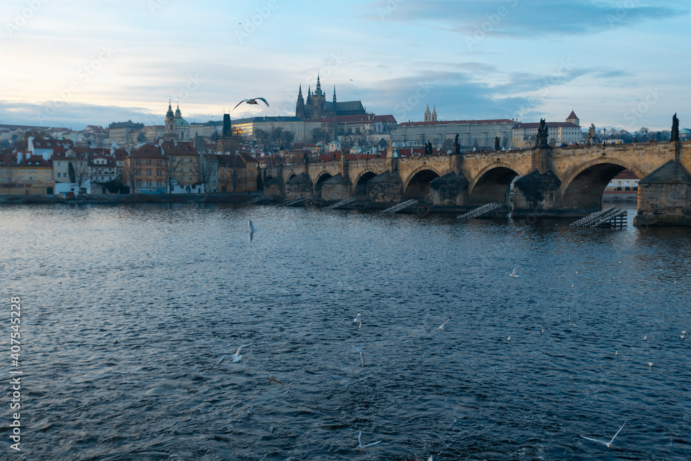 .panoramic view of Charles Bridge on the Vltava river and in the background Prague Castle and St. Vitus Cathedral in the center of Prague and seagulls flying around