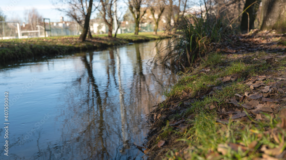 small river in the park with tree reflections