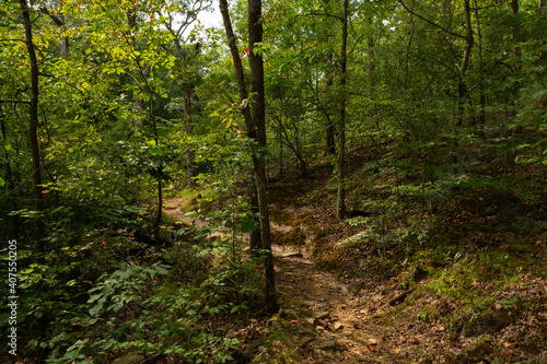 Hiking Trail