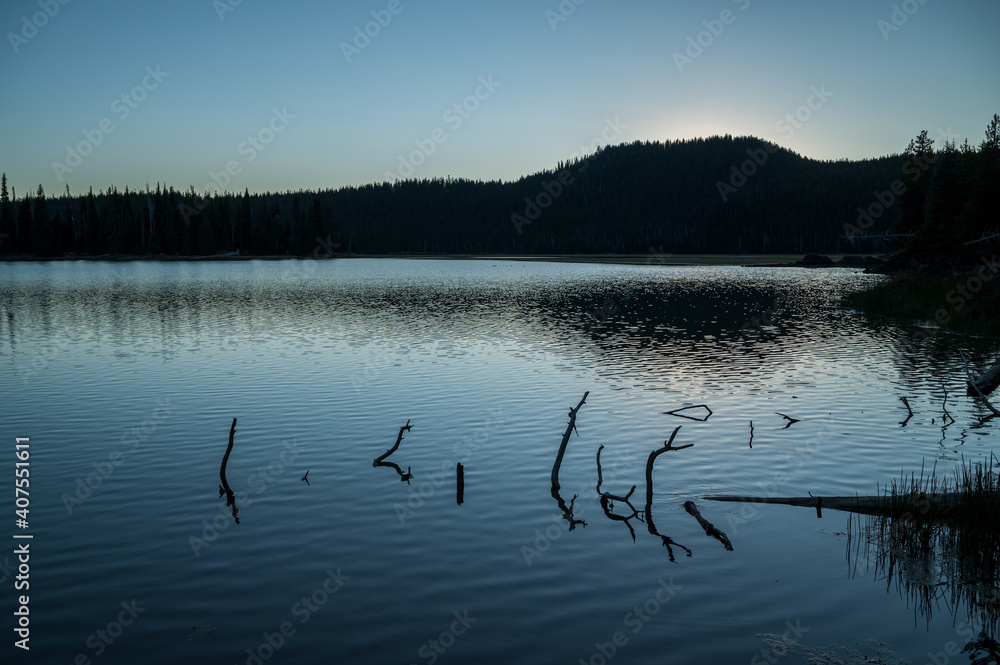 Sunrise at Sparks Lake Oregon tree and reed reflection Sunrise at Sparks Lake Oregon tree and reed reflection