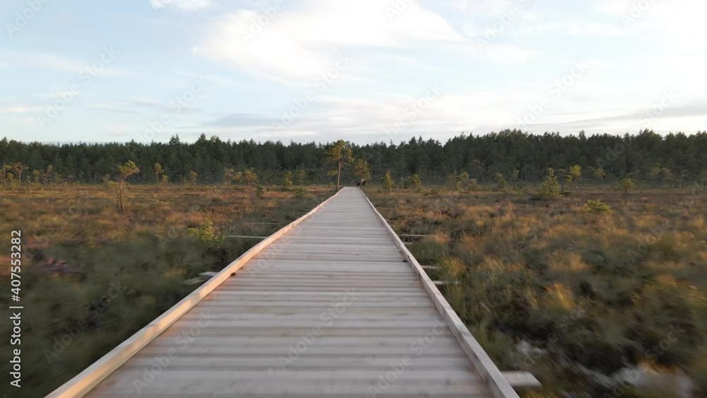 wooden bridge in autumn forest wooden bridge in autumn forest