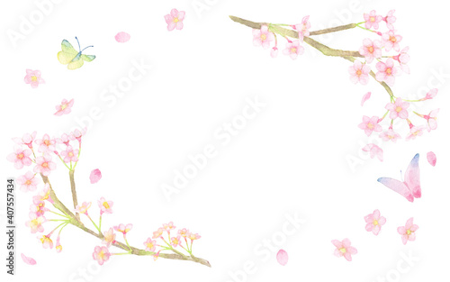 ＜フレーム素材＞水彩画で描かれた、桜と蝶が舞うフレーム（横長の楕円形） 