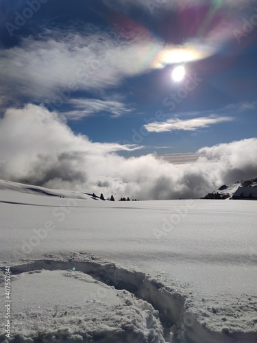 snow covered mountains