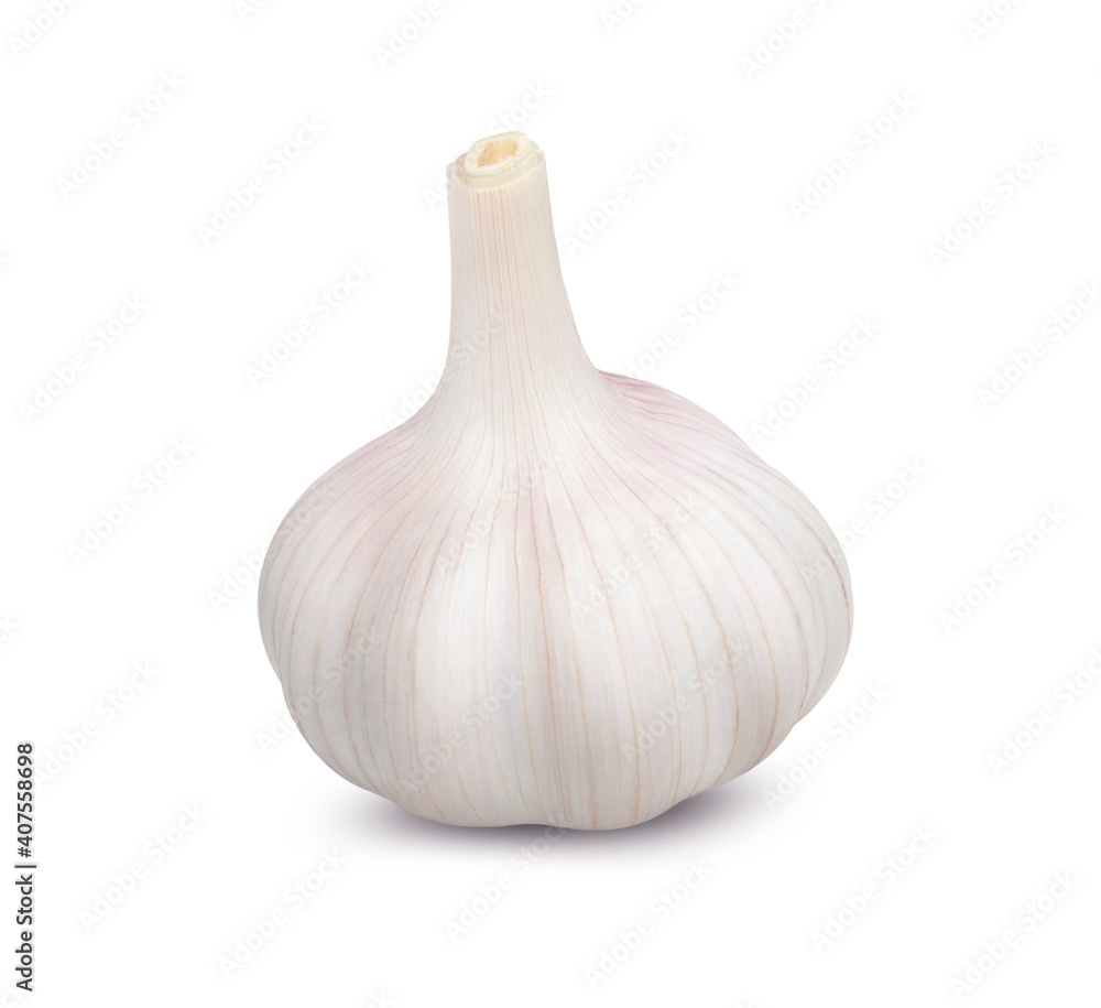 Isolated garlic. Head of dried garlic isolated on white background with clipping path.
