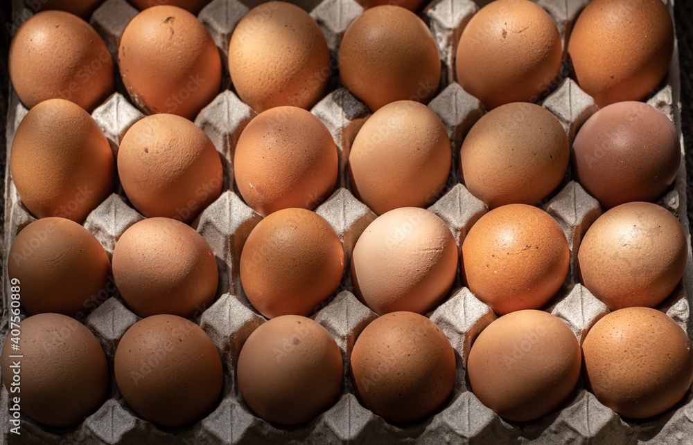 Closeup on fresh chicken eggs on carton with sunlight Closeup on fresh chicken eggs on carton with sunlight
