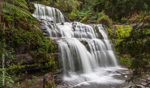 Fototapeta Naklejka Na Ścianę i Meble -  Liffey Falls, Tasmania