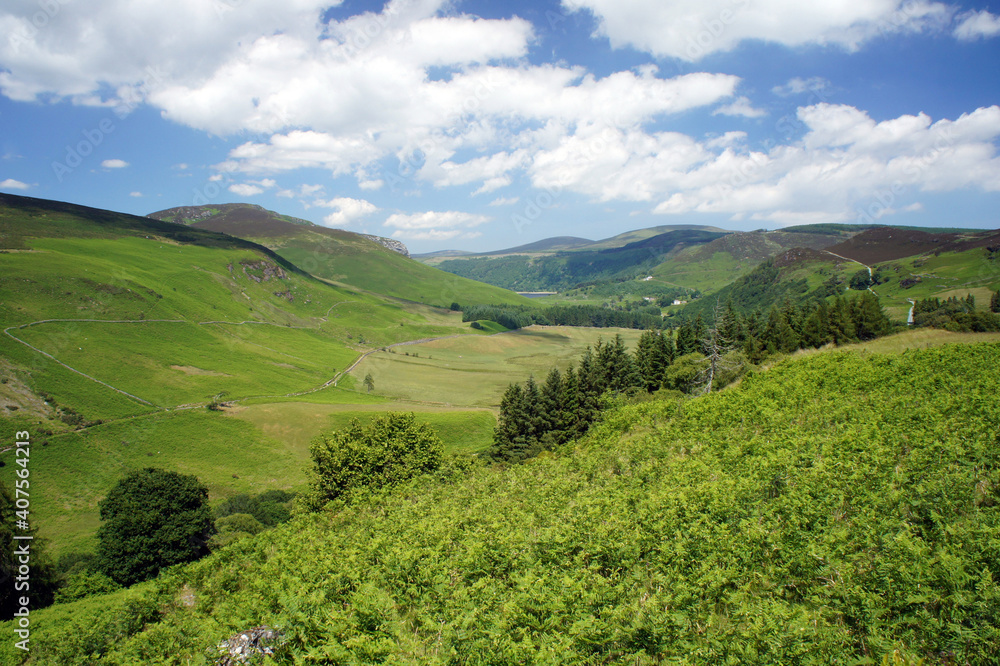 Summer Ireland. Green Valley in the Wicklow Mountains.