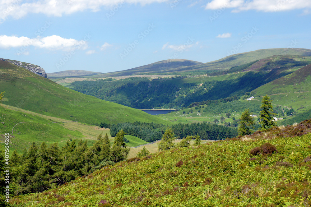 Fototapeta premium Summer Ireland. Green Valley in the Wicklow Mountains.