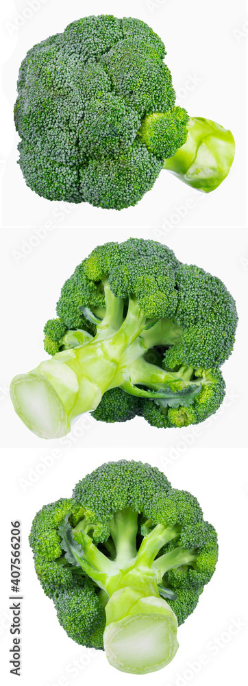 Fresh broccoli isolated on white background Fresh broccoli isolated on white background