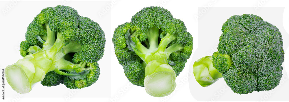 Fresh broccoli isolated on white background Fresh broccoli isolated on white background
