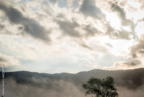Magia, mañana y niebla matutina sobre el campo