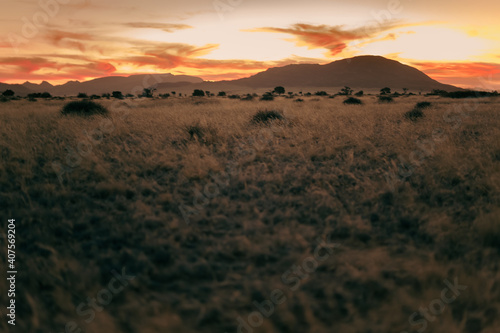 Dramatic light on african field at sunset